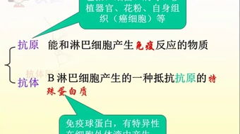 身体的防卫 人体免疫系统的三道防线微课教学设计